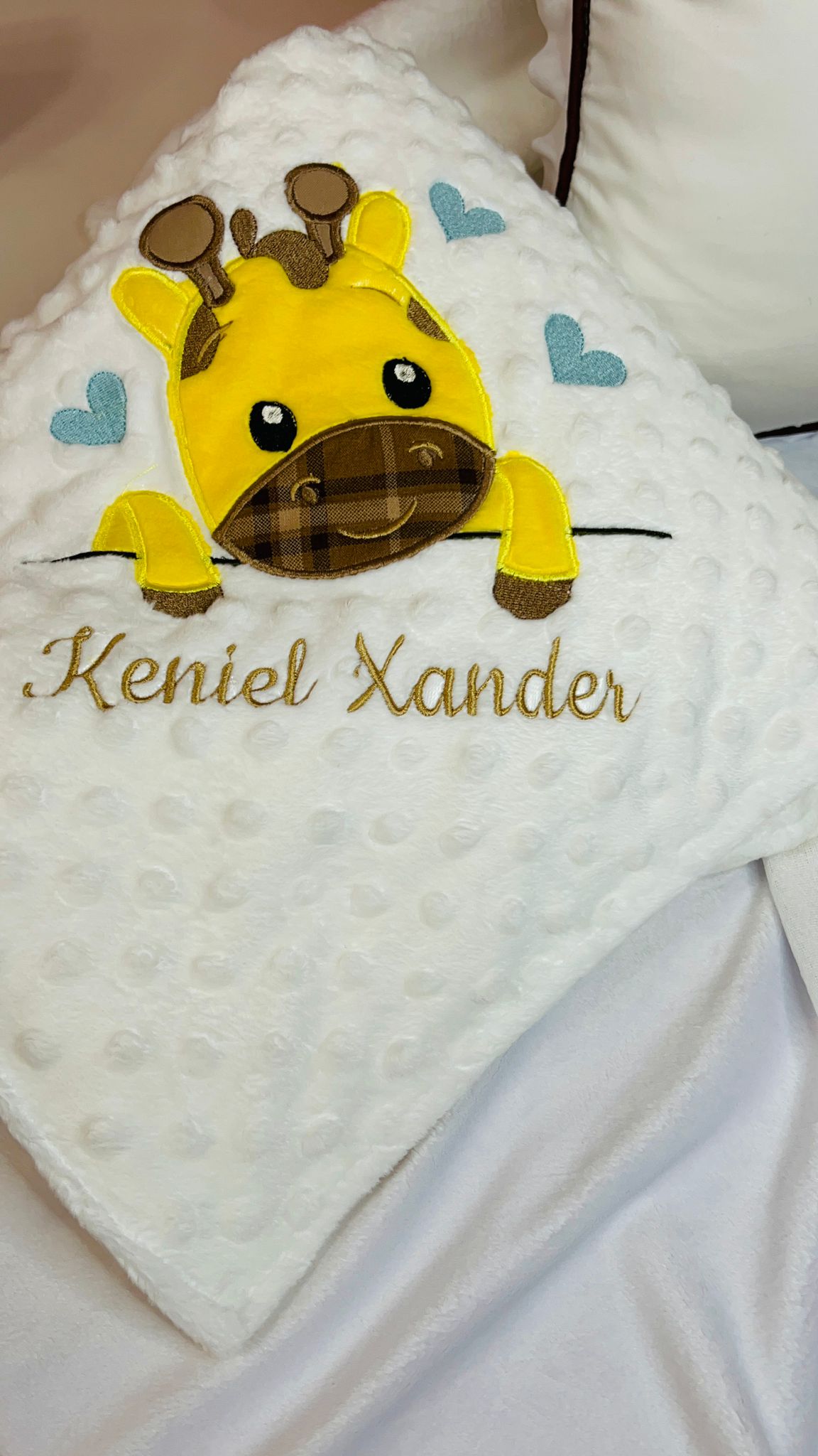 Baby Blanket - Stroller